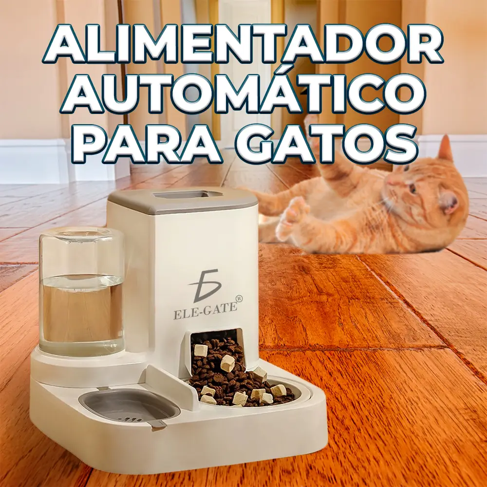Producto hover